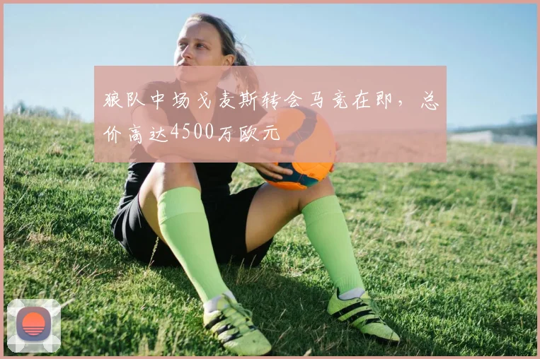 狼队中场戈麦斯转会马竞在即，总价高达4500万欧元