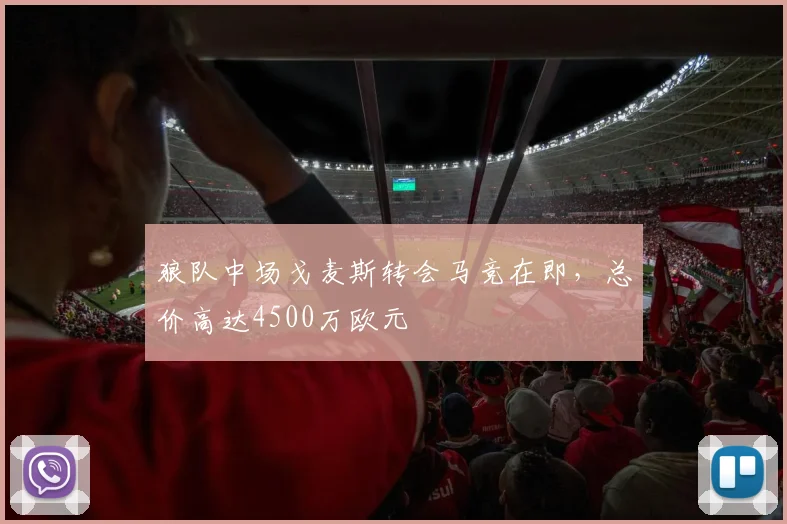 狼队中场戈麦斯转会马竞在即,总价高达4500万欧元